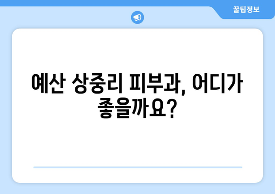 충청남도 예산군 상중리 피부과 추천| 꼼꼼하게 비교하고 선택하세요 | 예산 피부과, 상중리 피부과, 피부과 추천, 진료 과목