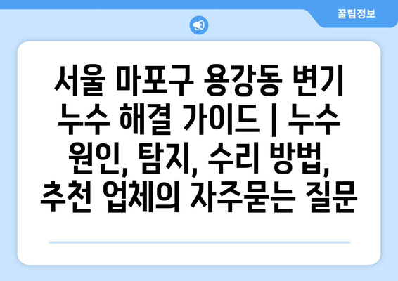 서울 마포구 용강동 변기 누수 해결 가이드 | 누수 원인, 탐지, 수리 방법, 추천 업체