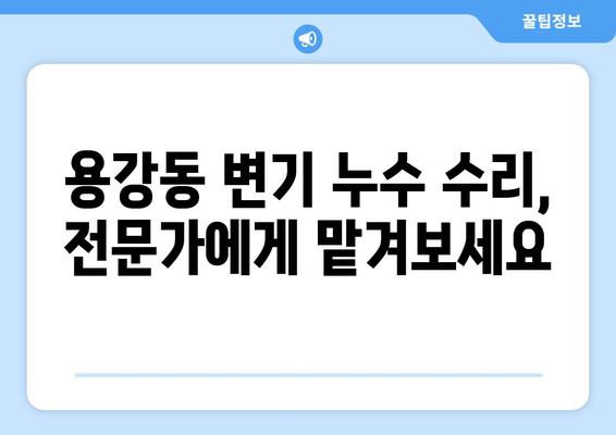 서울 마포구 용강동 변기 누수 해결 가이드 | 누수 원인, 탐지, 수리 방법, 추천 업체