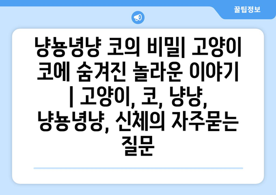 냥뇽녕냥 코의 비밀| 고양이 코에 숨겨진 놀라운 이야기 | 고양이, 코, 냥냥, 냥뇽녕냥, 신체