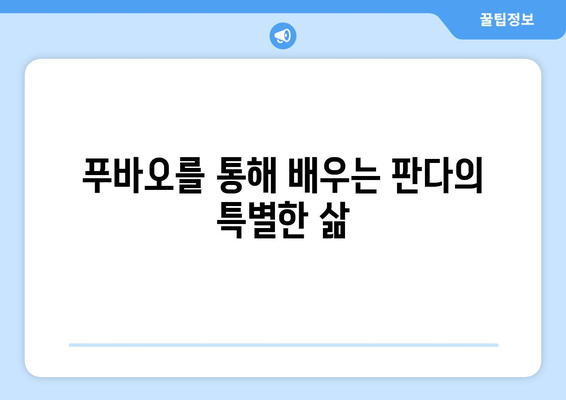 중국 푸바오| 판다의 삶과 성장 이야기 | 중국, 판다, 푸바오, 동물원, 성장 과정, 귀여움, 인기