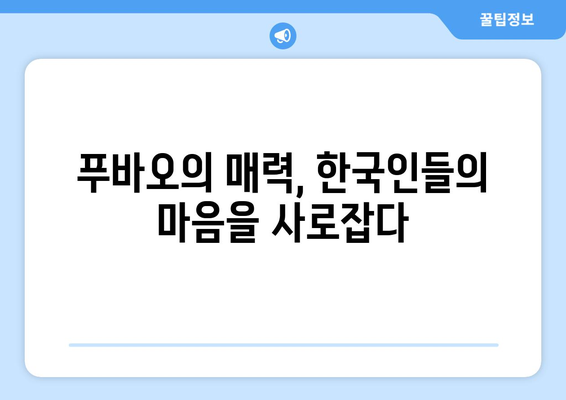 중국 푸바오| 판다의 삶과 성장 이야기 | 중국, 판다, 푸바오, 동물원, 성장 과정, 귀여움, 인기