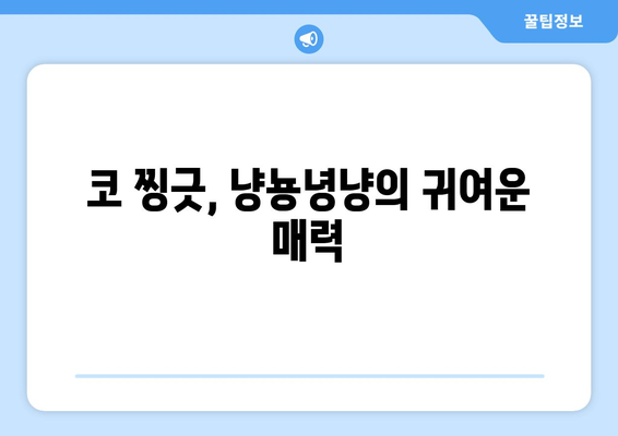 냥뇽녕냥 코의 비밀| 고양이 코에 숨겨진 놀라운 이야기 | 고양이, 코, 냥냥, 냥뇽녕냥, 신체