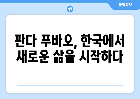 중국 푸바오| 판다의 삶과 성장 이야기 | 중국, 판다, 푸바오, 동물원, 성장 과정, 귀여움, 인기