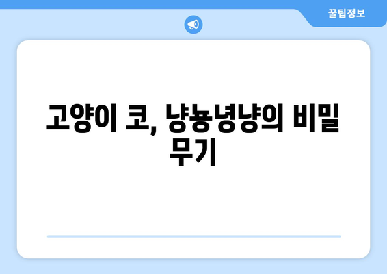 냥뇽녕냥 코의 비밀| 고양이 코에 숨겨진 놀라운 이야기 | 고양이, 코, 냥냥, 냥뇽녕냥, 신체