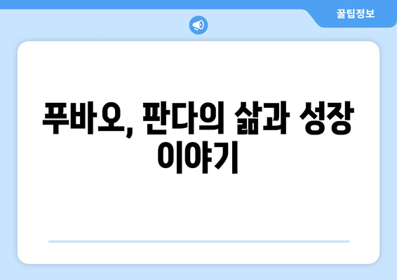 중국 푸바오| 판다의 삶과 성장 이야기 | 중국, 판다, 푸바오, 동물원, 성장 과정, 귀여움, 인기