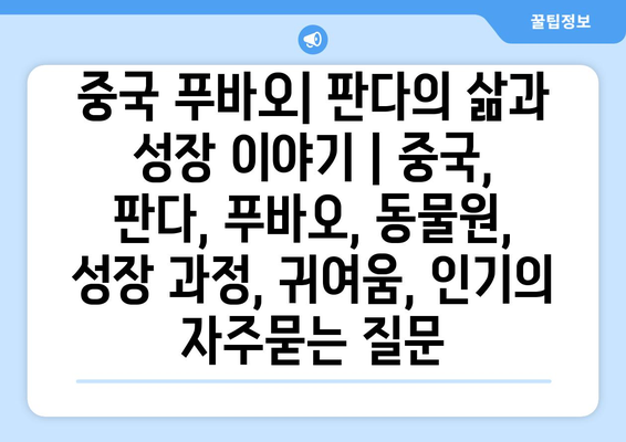 중국 푸바오| 판다의 삶과 성장 이야기 | 중국, 판다, 푸바오, 동물원, 성장 과정, 귀여움, 인기