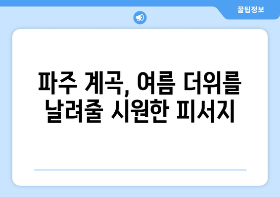 파주 계곡 추천 5곳| 율곡수목원, 감악산 등 시원한 피서지 | 파주, 계곡, 여름휴가, 가족여행, 데이트