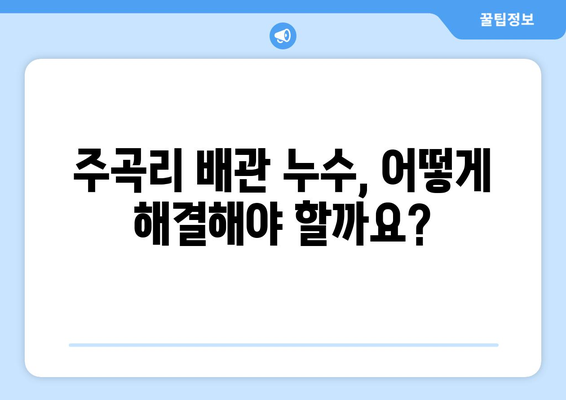 경기도 화성시 주곡리 배관 누수 해결 가이드| 원인 분석부터 전문 업체 추천까지 | 누수, 배관 수리, 화성시, 주곡리