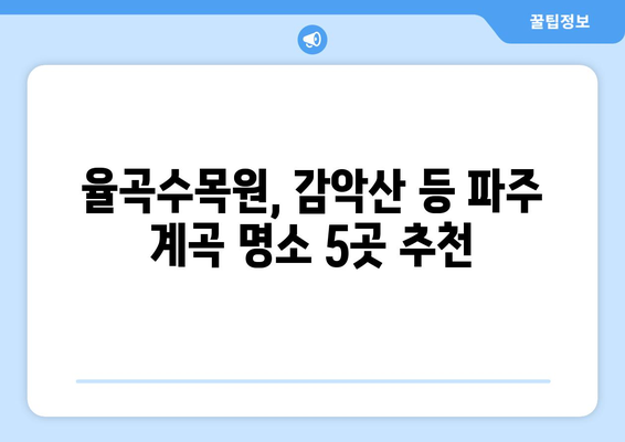 파주 계곡 추천 5곳| 율곡수목원, 감악산 등 시원한 피서지 | 파주, 계곡, 여름휴가, 가족여행, 데이트